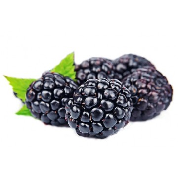 Black berries - USA (carton)