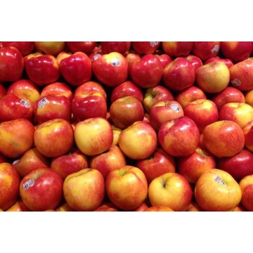 Apple Envy - New Zealand (carton)