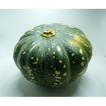 Japanese Pumpkin - Australia (Slice)