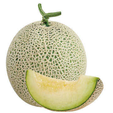 Japan Melon (carton)