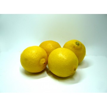 Lemon (carton)