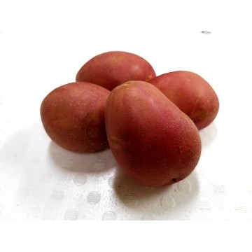 Red Potato - Australia (carton)