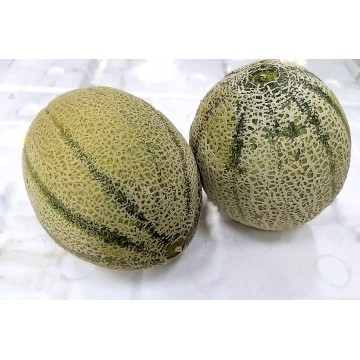 Rockmelon - Australia (carton)