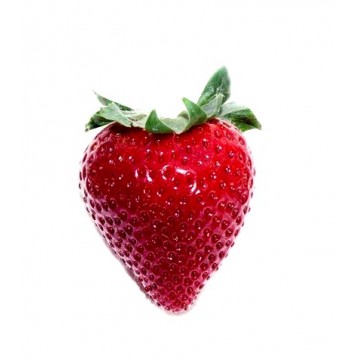 Strawberries  (carton)