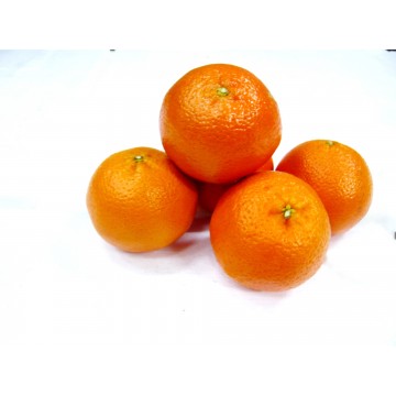 Tangerines (carton)